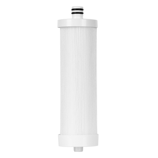 Картридж Electrolux AM Carbon 2in1