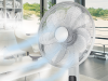 Вентилятор напольный Electrolux EFF-1000i