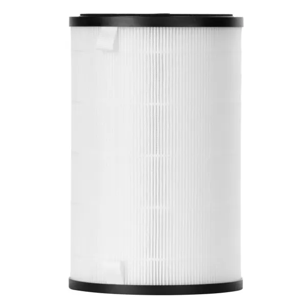 Фильтр Electrolux FAP-2050 ANTI DUST