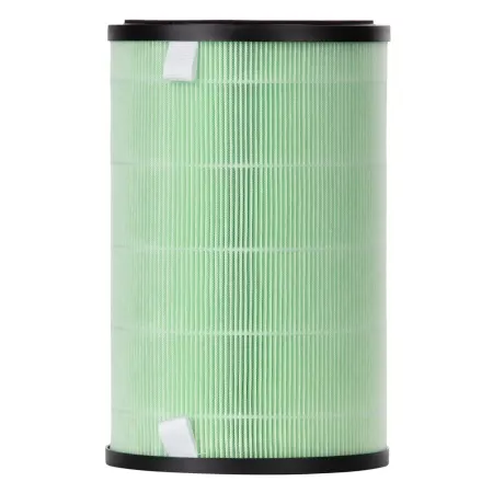 Фильтр Electrolux FAP-2050 ANTI SMOG ACTIVE