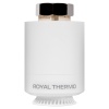 Термостат радиаторный электронный ROYAL THERMO Smart Heat, белый