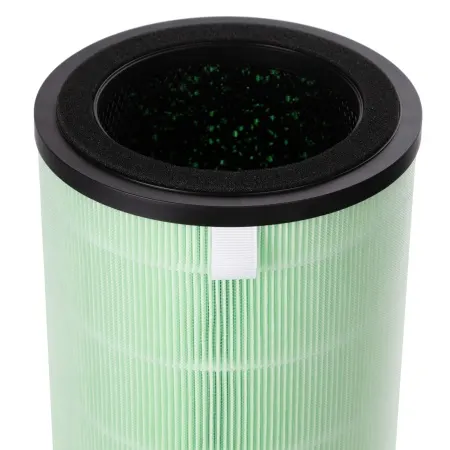 Фильтр Electrolux FAP-2050 ANTI SMOG ACTIVE